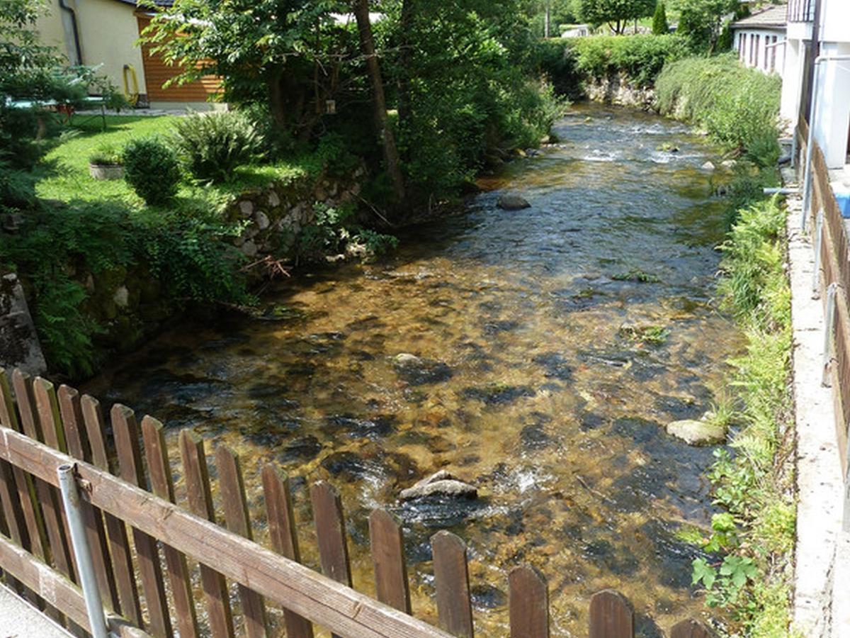 Landgasthof-Hotel-Roessle Oberprechtal Luaran gambar